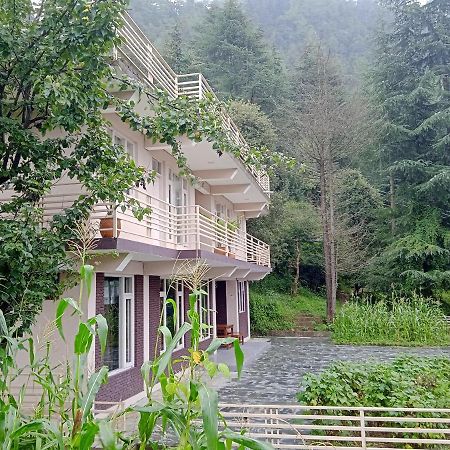 Junglaat Stays & Experiences Dharamshala Exterior photo